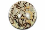 Polished Septarian Dish - Madagascar #337220-1